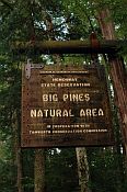Big Pines Natural Area